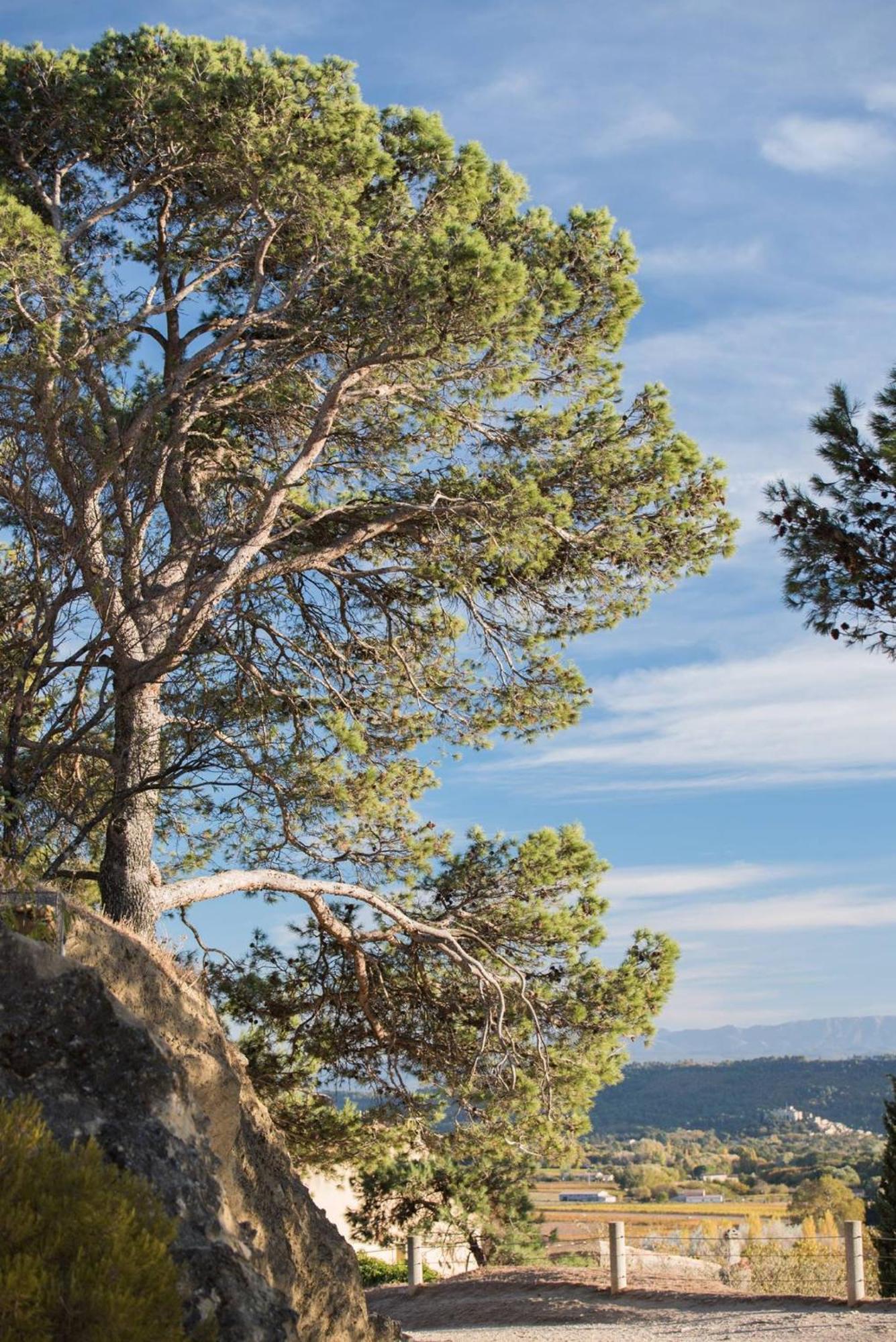 Charmante Maison De Village Au Coeur Du Luberon キュキュロン エクステリア 写真